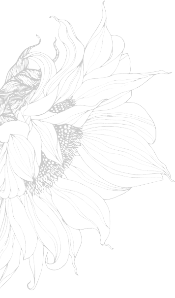 image-bg-01